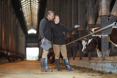 Similar image 20818944