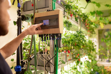 Similar image 20816638