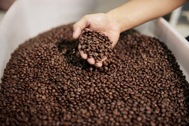 Similar image 20861480