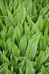 Similar image 20821664