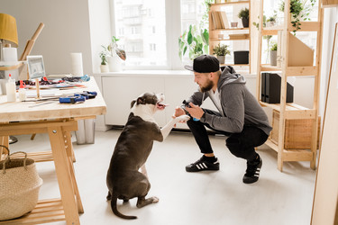 Similar image 20854817