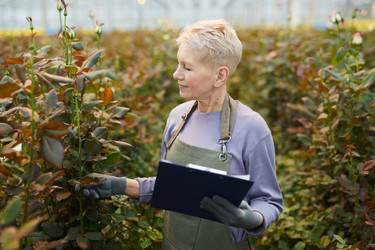 Similar image 20828146