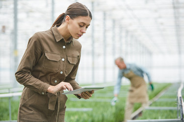 Similar image 20828615