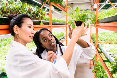 Similar image 20874820