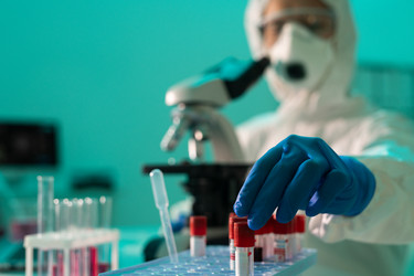 Similar image 20804147