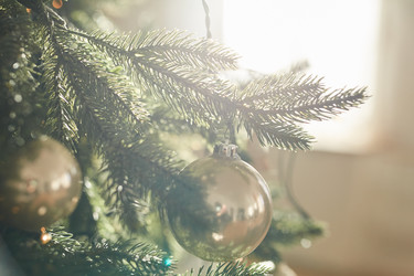 Similar image 20811660