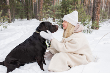 Similar image 20789228