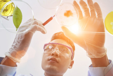 Similar image 20854699