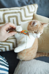 Similar image 20823294