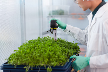 Similar image 20789798