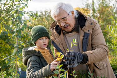 Similar image 20800092