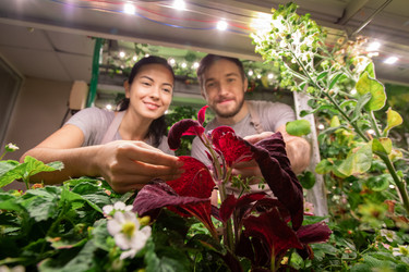 Similar image 20804670