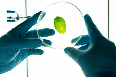 Similar image 20880284