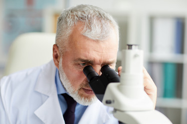 Similar image 20853256