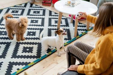 Similar image 20821498