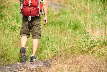 Similar image 20850269