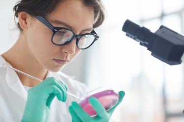 Similar image 20863085