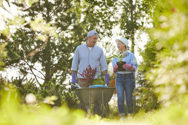 Similar image 20856320