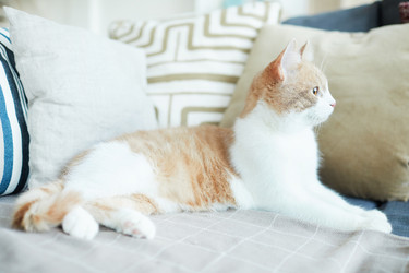 Similar image 20825887