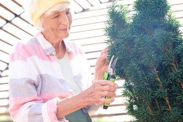 Similar image 20889667