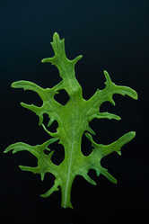 Similar image 20829937