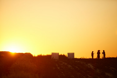 Similar image 20794710