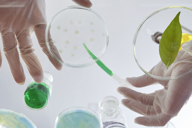 Similar image 20881780