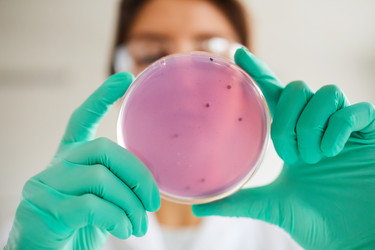 Similar image 20873687