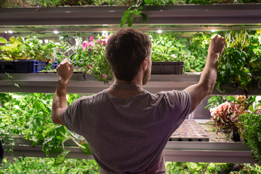 Similar image 20807958