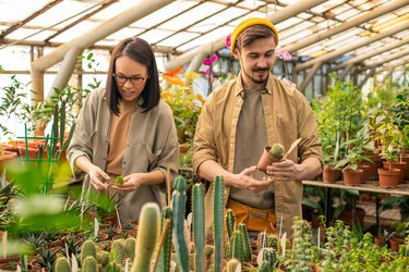 Similar image 20802013