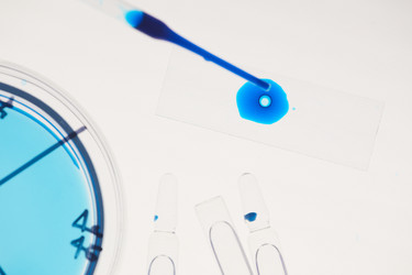 Similar image 20804020