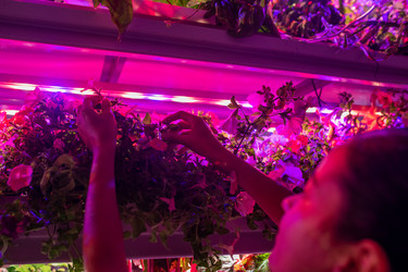 Similar image 20822515