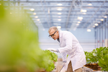 Similar image 20815622