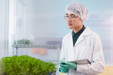 Similar image 20804634