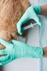 Similar image 20808079