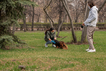 Similar image 20810028