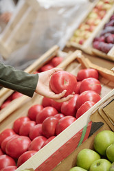 Similar image 20809247