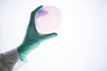 Similar image 20879252