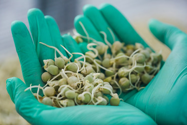 Similar image 20822635