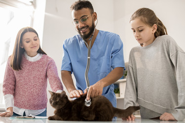 Similar image 20883944