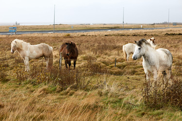 Similar image 20789826