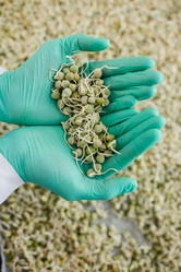 Similar image 20793573