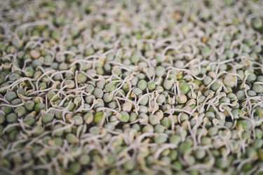 Similar image 20821680