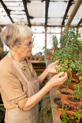 Similar image 20799600