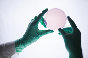 Similar image 20859844