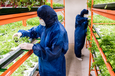 Similar image 20883894