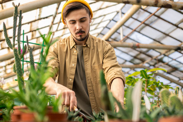 Similar image 20831674