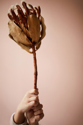 Similar image 20867869