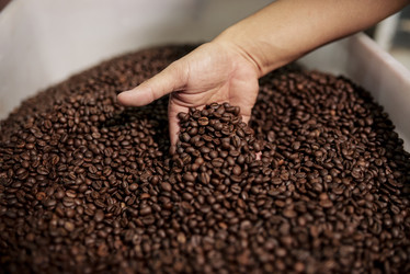 Similar image 20815006