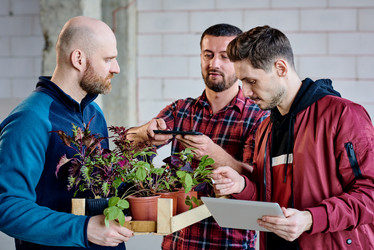 Similar image 20829181